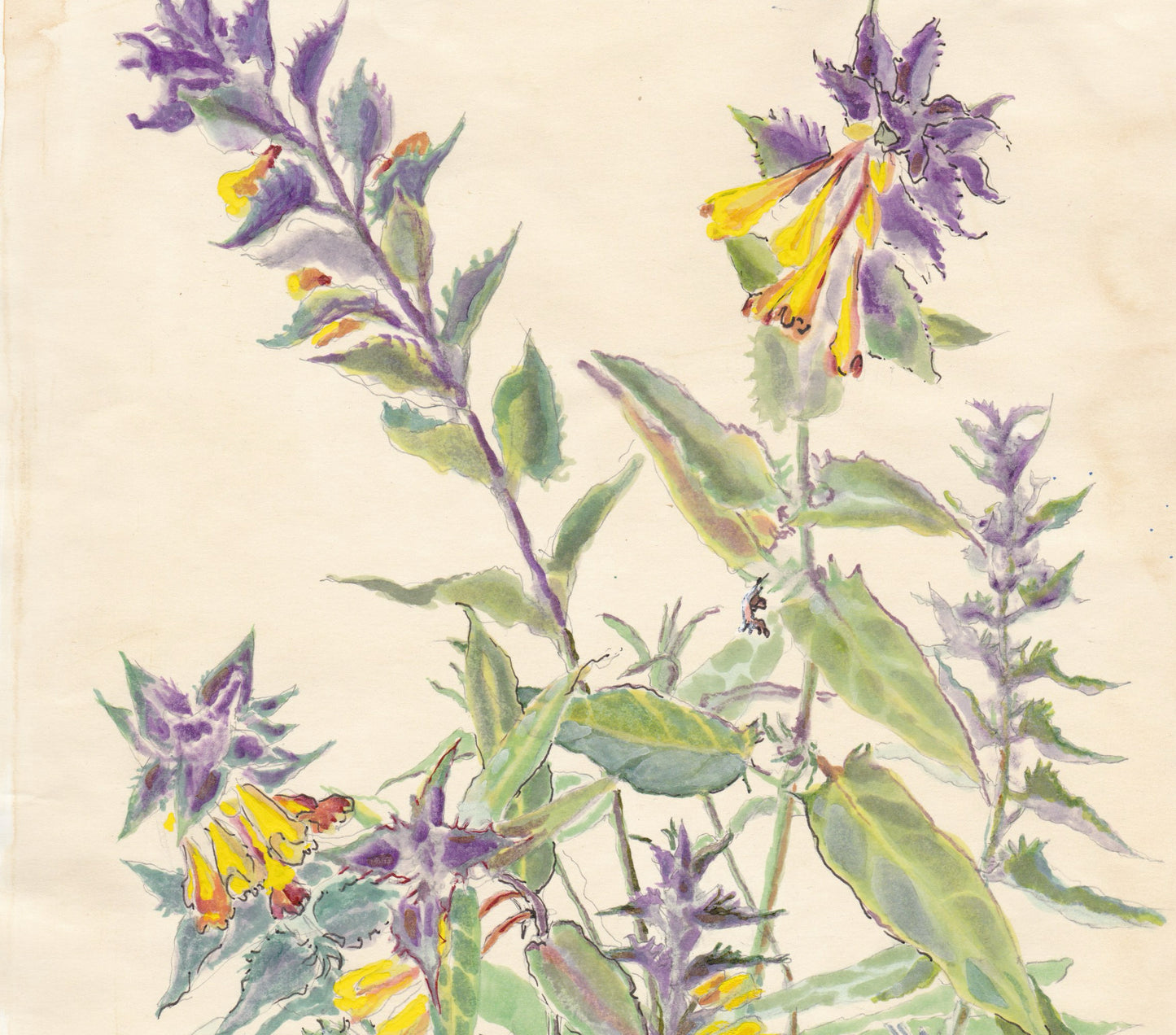 nattochdag bildspel 3